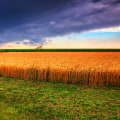 Understanding Scarcity and Choice in Economics